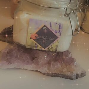 Orange Moon Body Whip
